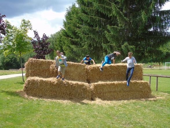 Un mur de paille franchi par des cabris