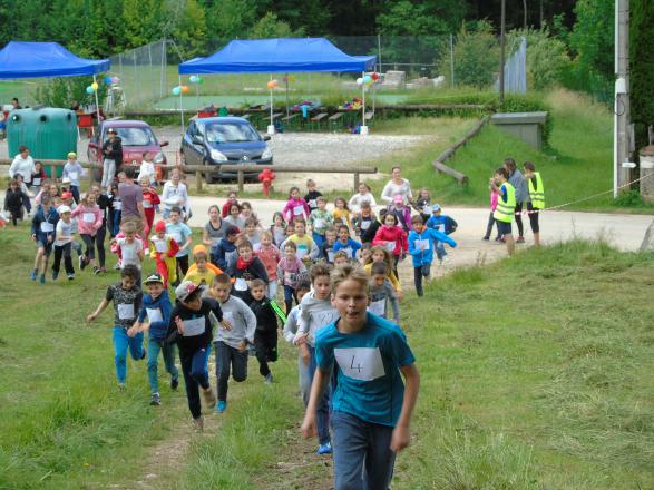 L'entrée du peloton dans la forêt 