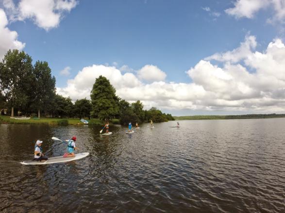 paddle board